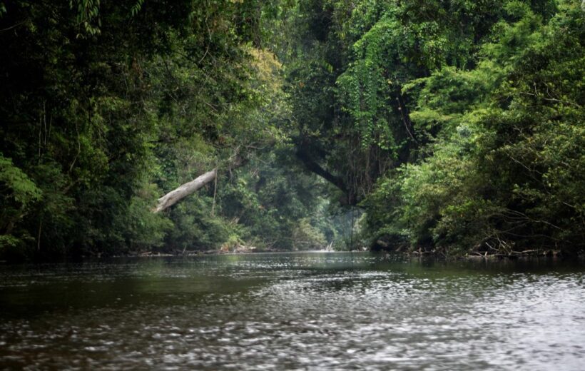 3D2N KEMBARA PACKAGE - MUTIARA TAMAN NEGARA (SIC-MALAYSIAN)