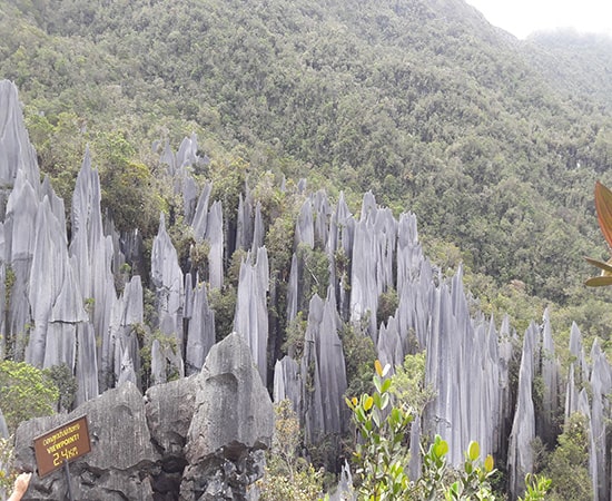 5D4N MULU CAVES + PINNACLES + HEADHUNTER TRAILS (MULU NATIONAL PARK CHALET)