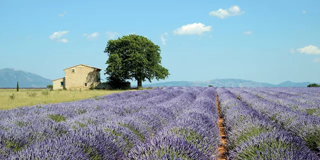 COUNTRY ROADS OF FRANCE (CLASSIC GROUP)