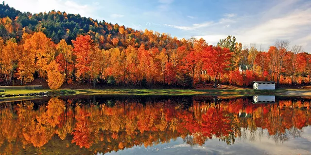 NEW ENGLAND'S FALL FOLIAGE