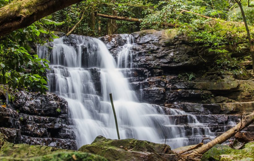 2D1N EXPLORER PACKAGE TAMAN NEGARA