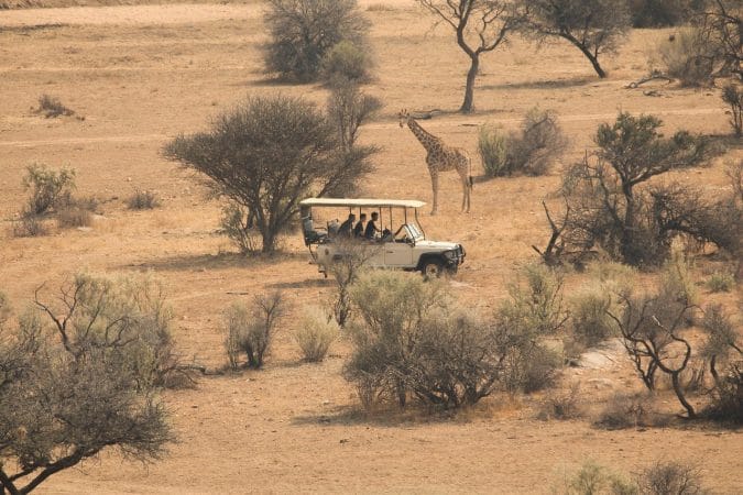 savannah, africa, safari