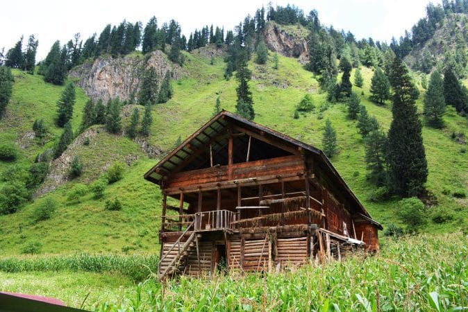 sweet wooden home, green, kashmir