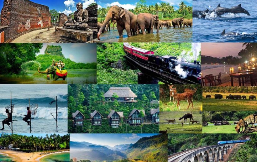 10D9N AMAZING SRI LANKA