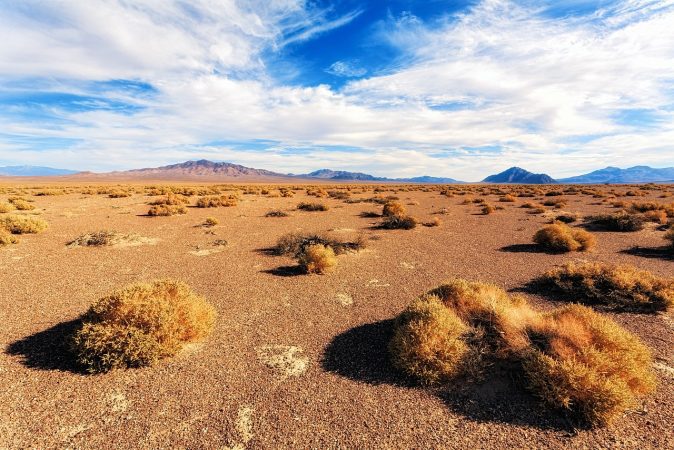 nevada, usa, landscape