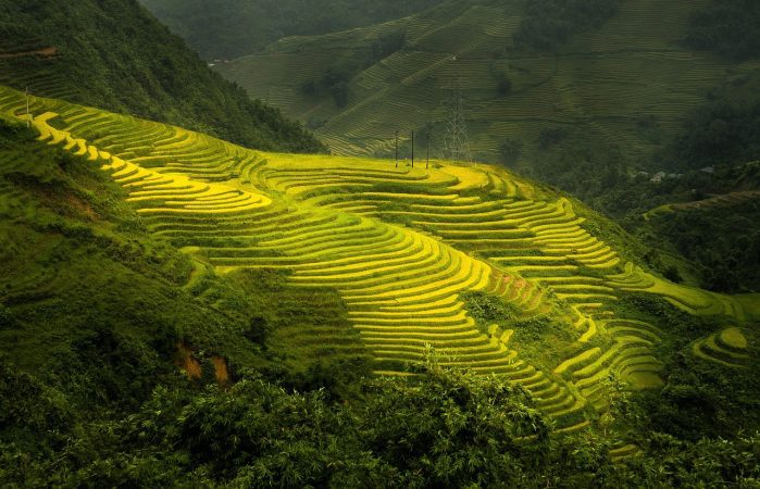 nature, terraces, outdoors