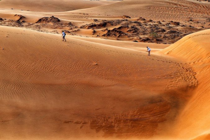 desert, nature, sand dune