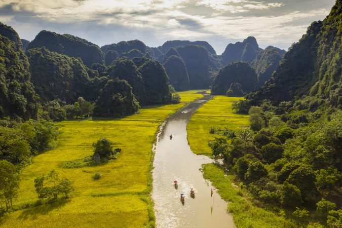 tam cốc golden harvest, rice field, ngô đồng river