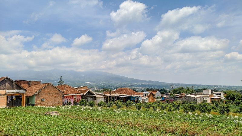 a small village with a mountain in the background