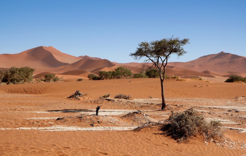 NOMADIC NAMIBIA